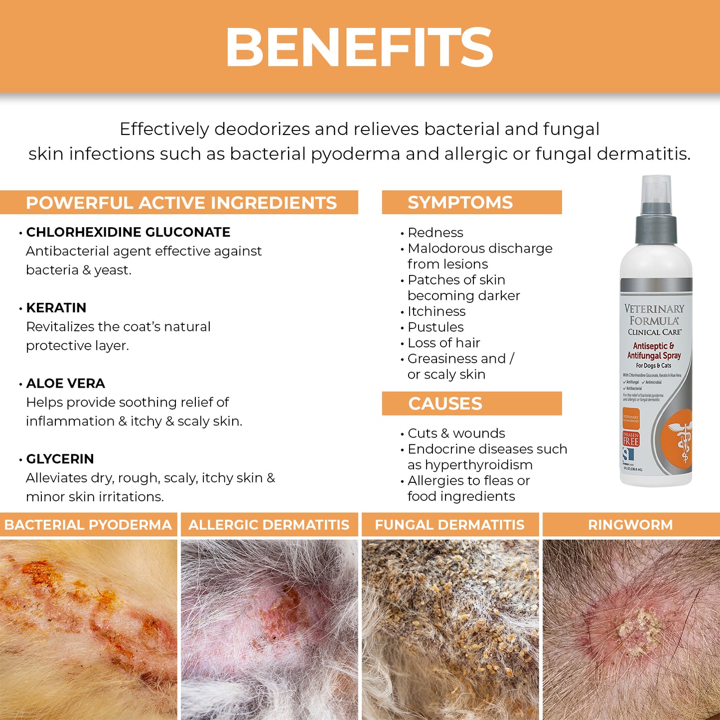 Antiseptic + Antifungal Spray