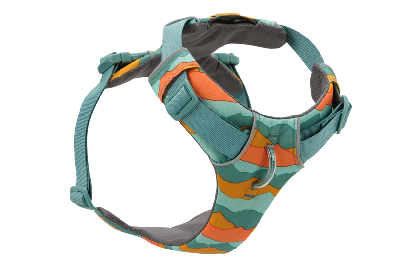 Front Range Harness - Spring Mountain