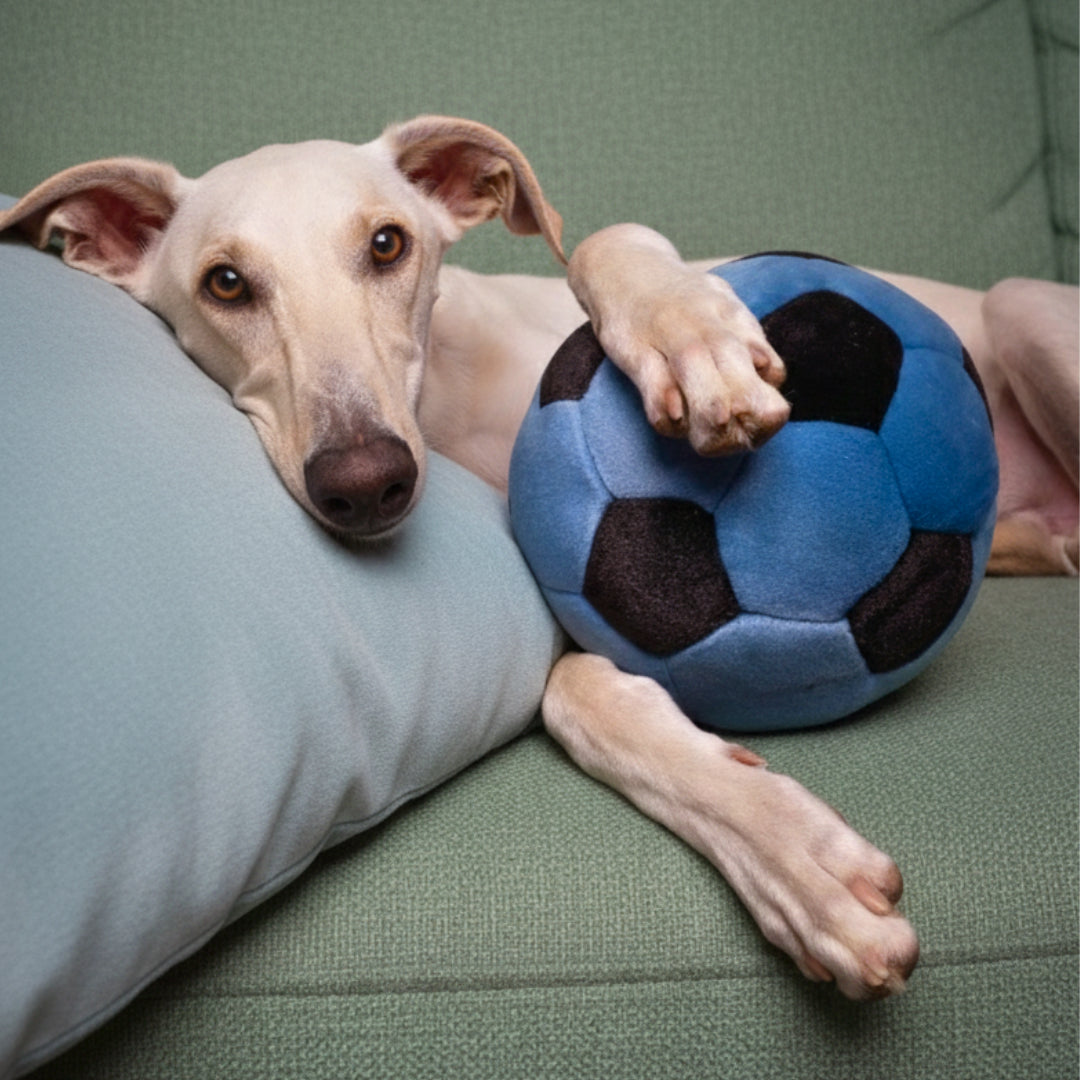 Fluff & Tuff - Blue Soccer Ball