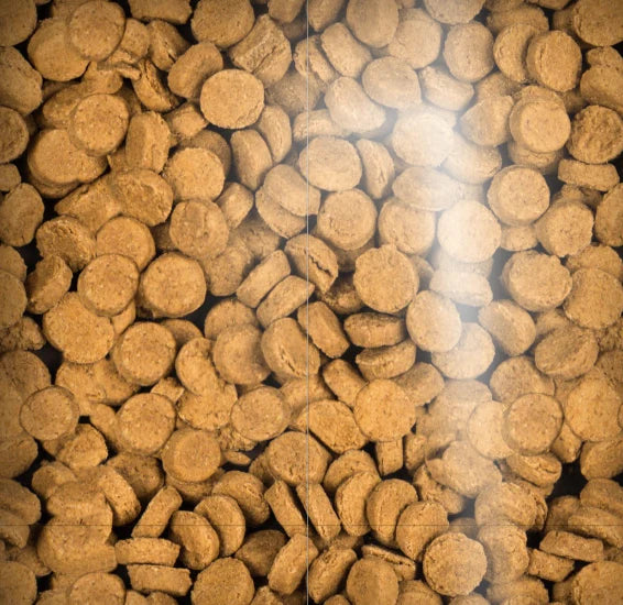 Soft and Chewy Turkey & Hemp Treats - 6oz