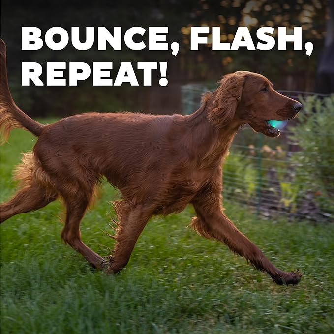 Planet Dog Strobe Ball - Glow Green