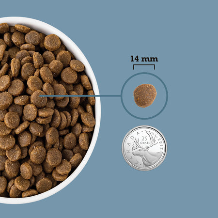 Healthy Grains - Sea to Stream