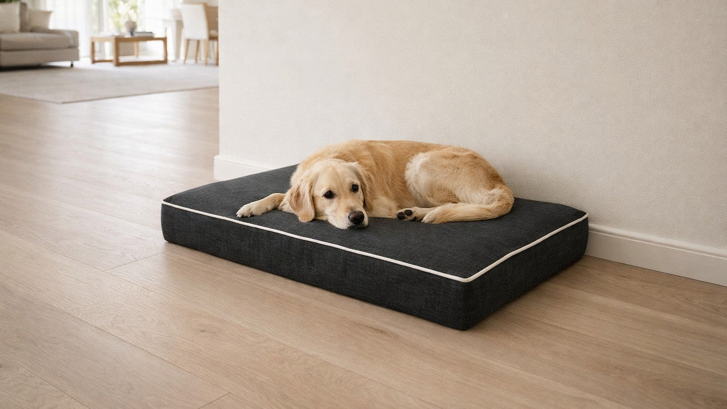 Bowsers - Isotonic Memory Foam - Storm - L