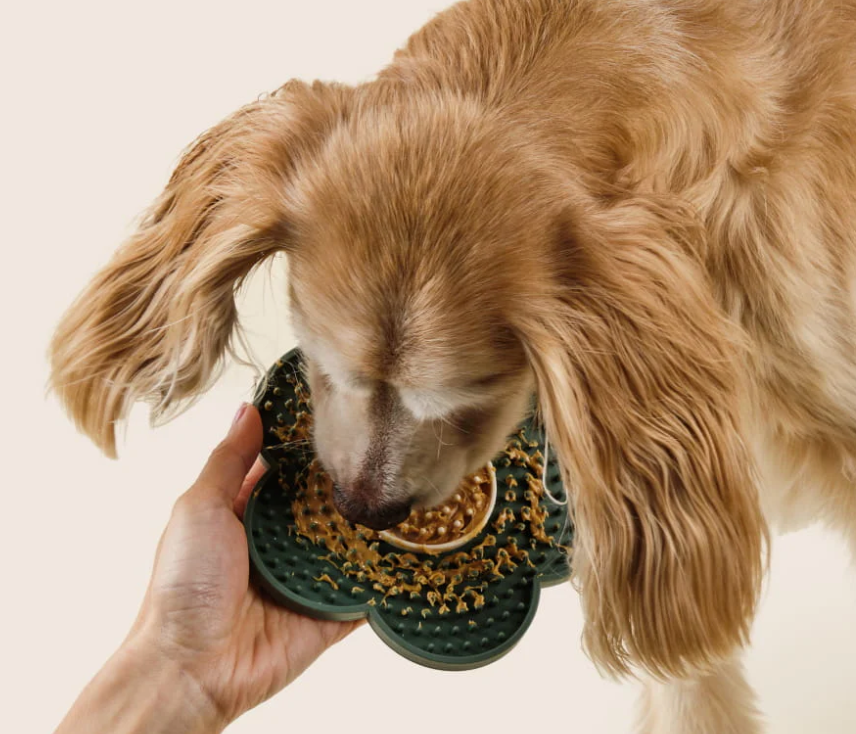 Dandylion - Lick Mat