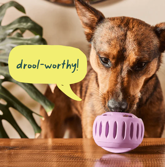 Pupsicle Refill Pops - PB & Chicken Recipe