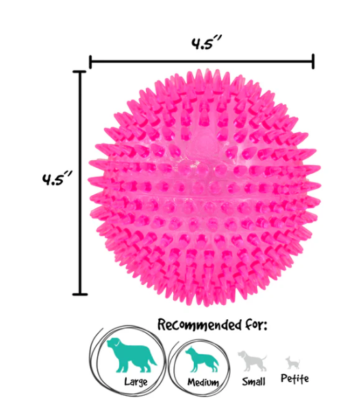 Gnawsome Squeaker Ball - 4.5in
