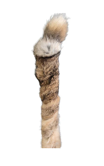Rabbit Hide 7-9" - Individual