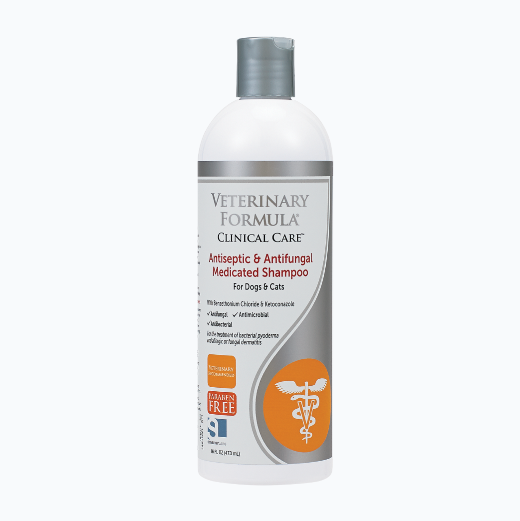 Dermatitis shampoo for dogs best sale