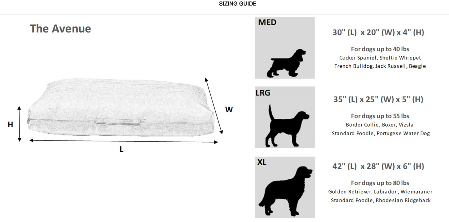 The Avenue - Parchment