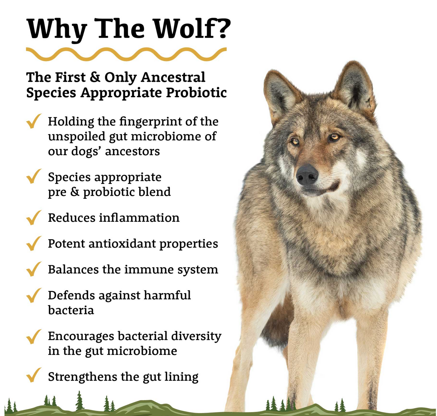 The Wolf - Species Appropriate Probiotic