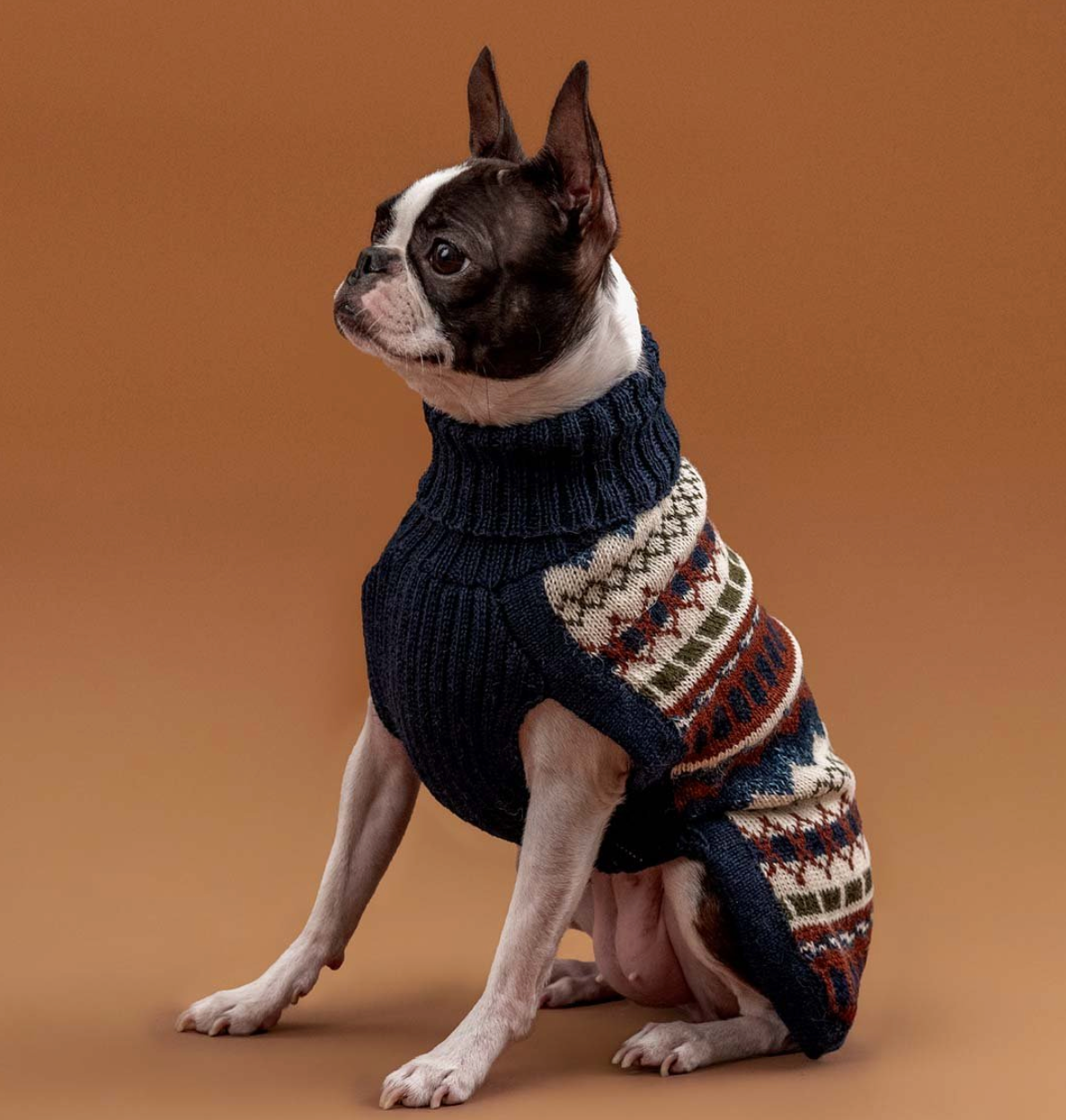 Alqo Wasi - Iceberg Bleu Alpaca Dog Sweater