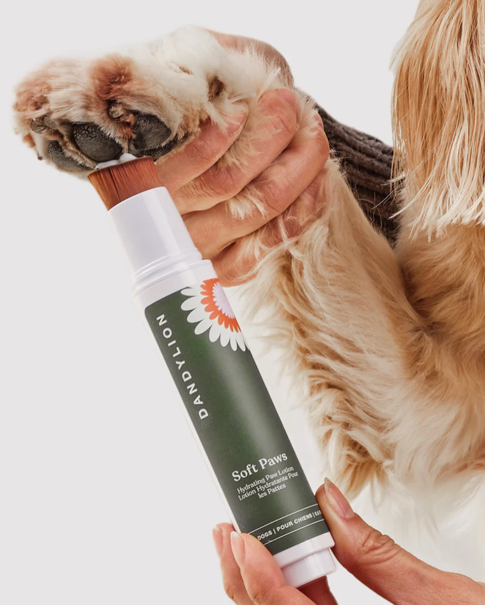 Dandylion - Soft Paws Hydrating Paw Lotion