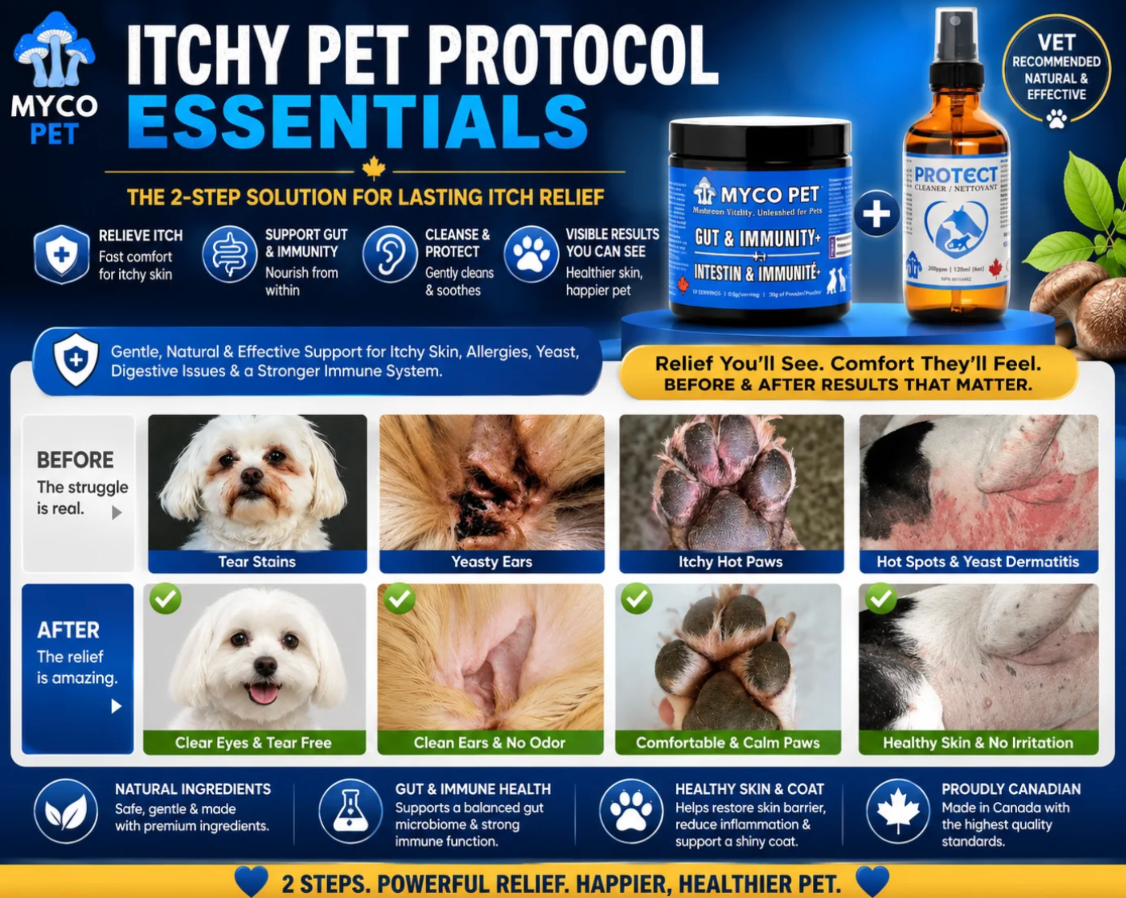 Myco Pet - Gut & Immunity+