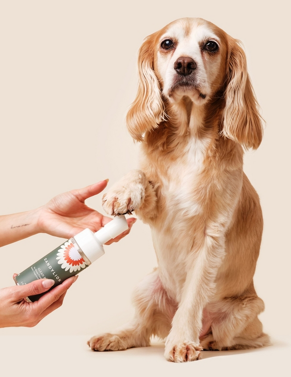 Dandylion - Clean Paws No Rinse Foaming Cleanser Refill
