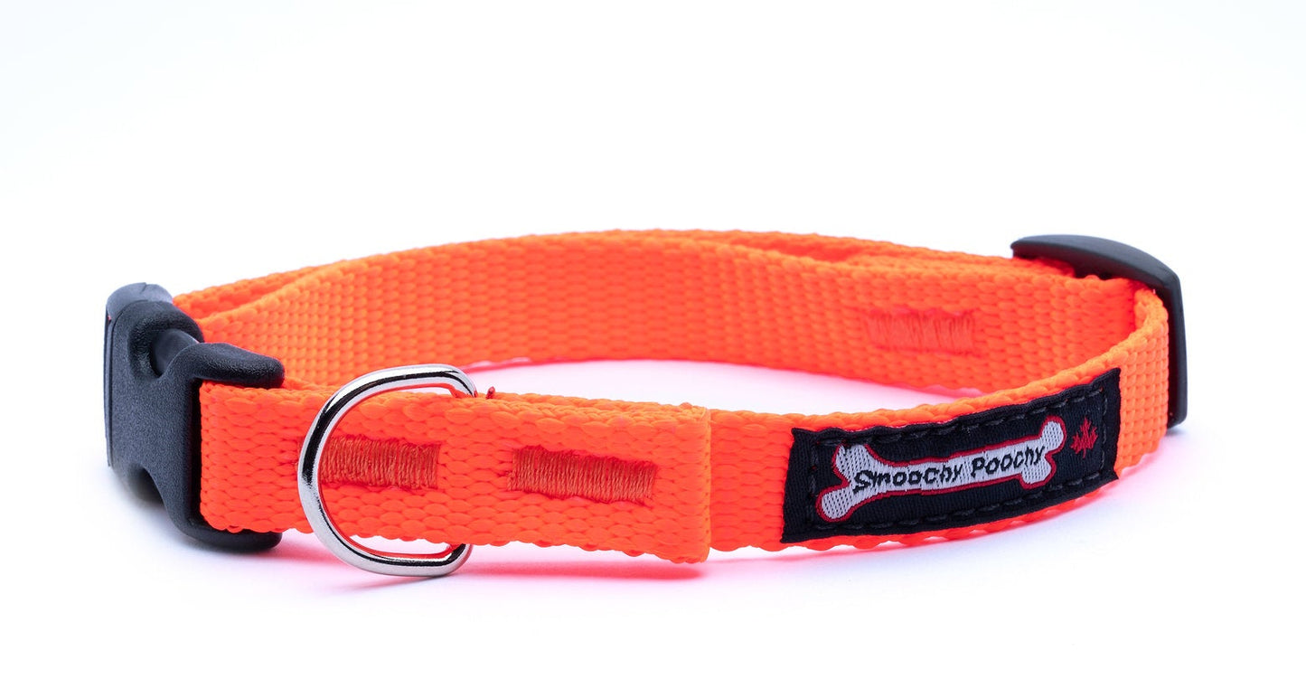 Nylon Clip Collar - Orange