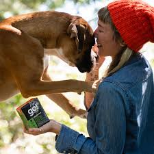 GO! Sensitivities LID Wet Food - Grain-Free Shredded Turkey