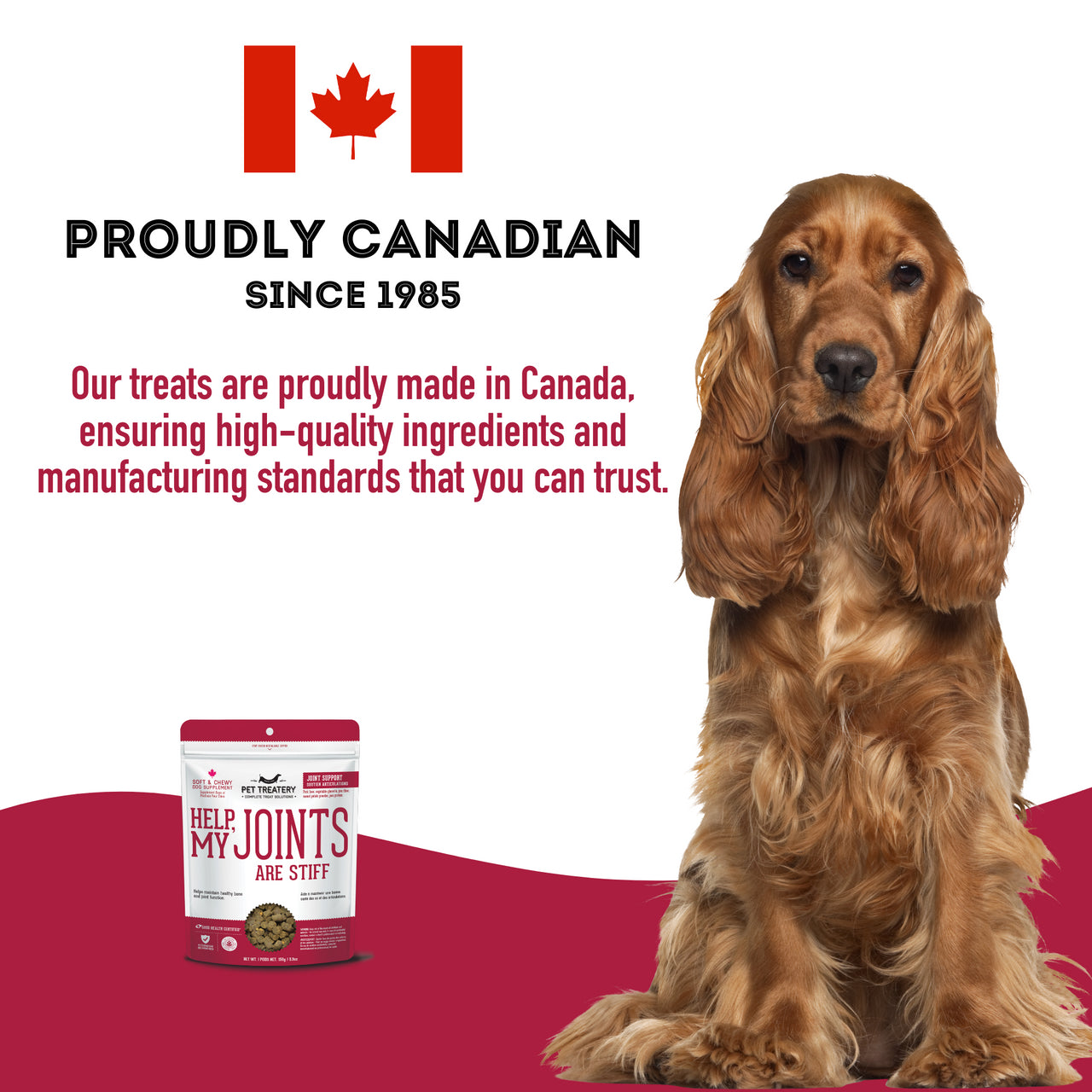 Help, My Joints Are Stiff - Hip & Joint Biscuits