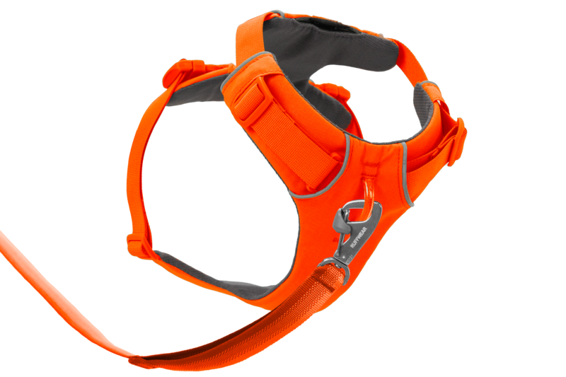 Front Range Harness - Blaze Orange