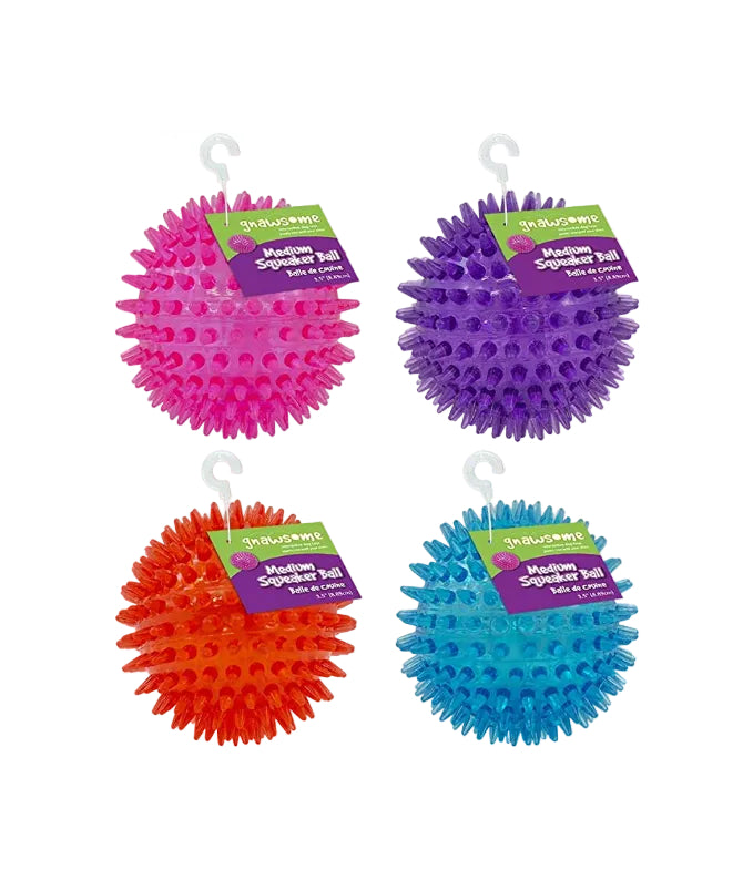 Gnawsome Squeaker Ball