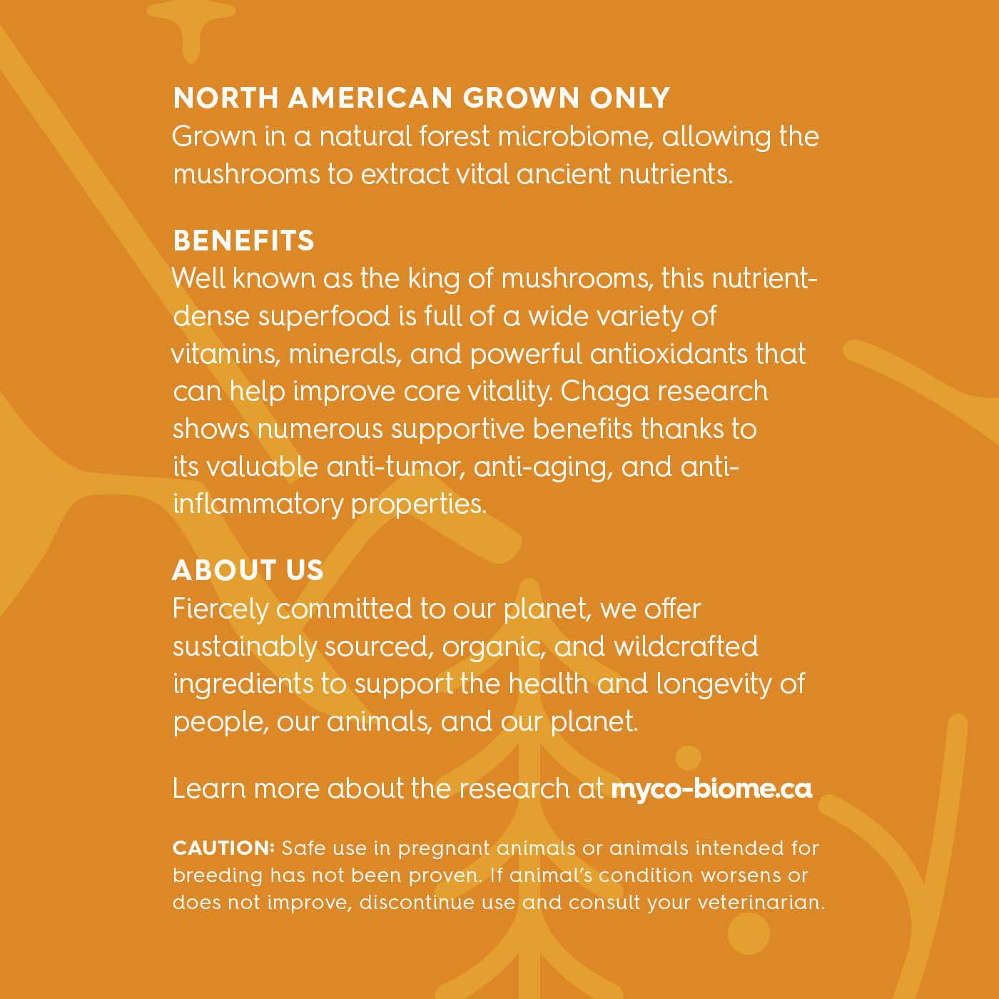 Adored Beast Adored Beast Chaga Mushroom Triple Liquid Extract