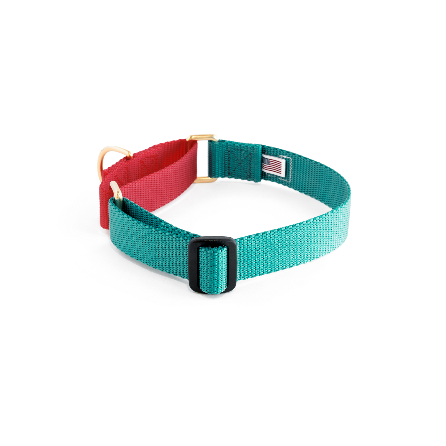 Martingale Collar - Teal + Punch