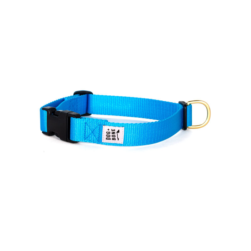 Snap Collar - Blue