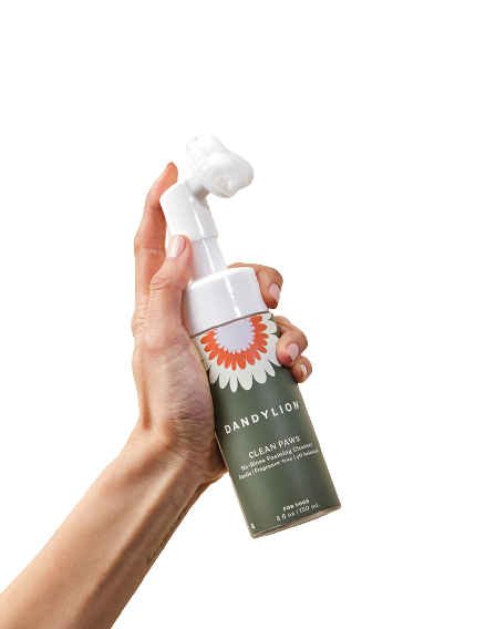 Clean Paws No Rinse Foaming Cleanser