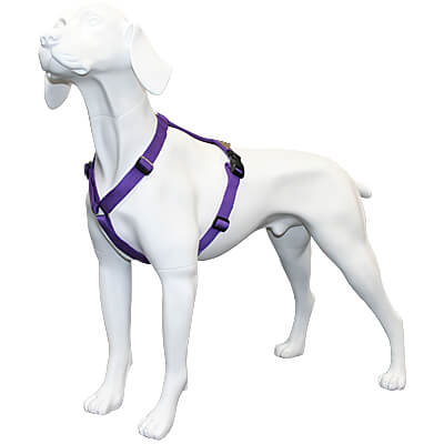 Haqihana Harness - Violet