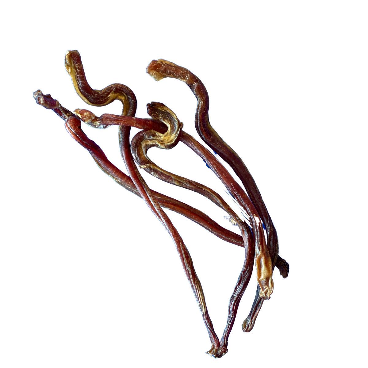 Lamb Pizzle Stick - 9-14"