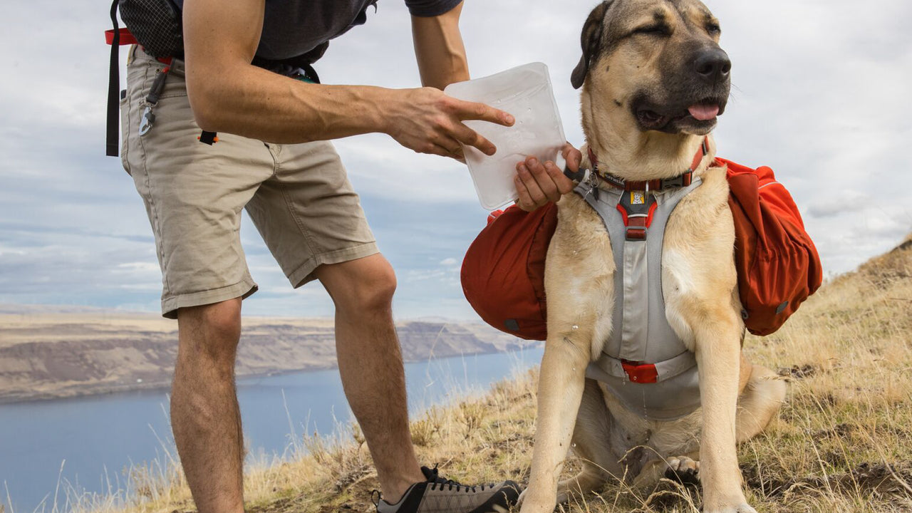 Ruffwear Palisades Dog Pack