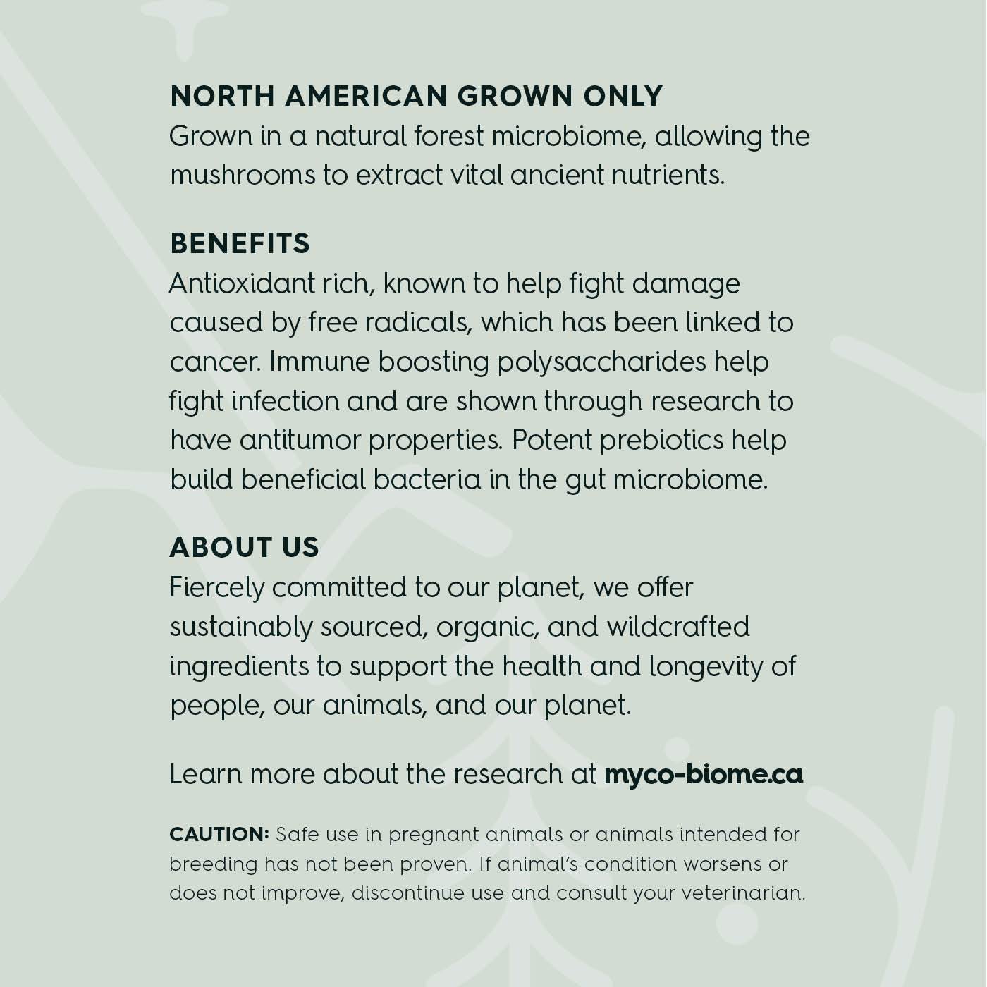 Adored Beast Turkey Tail Mushrooms - Liquid Triple Extract