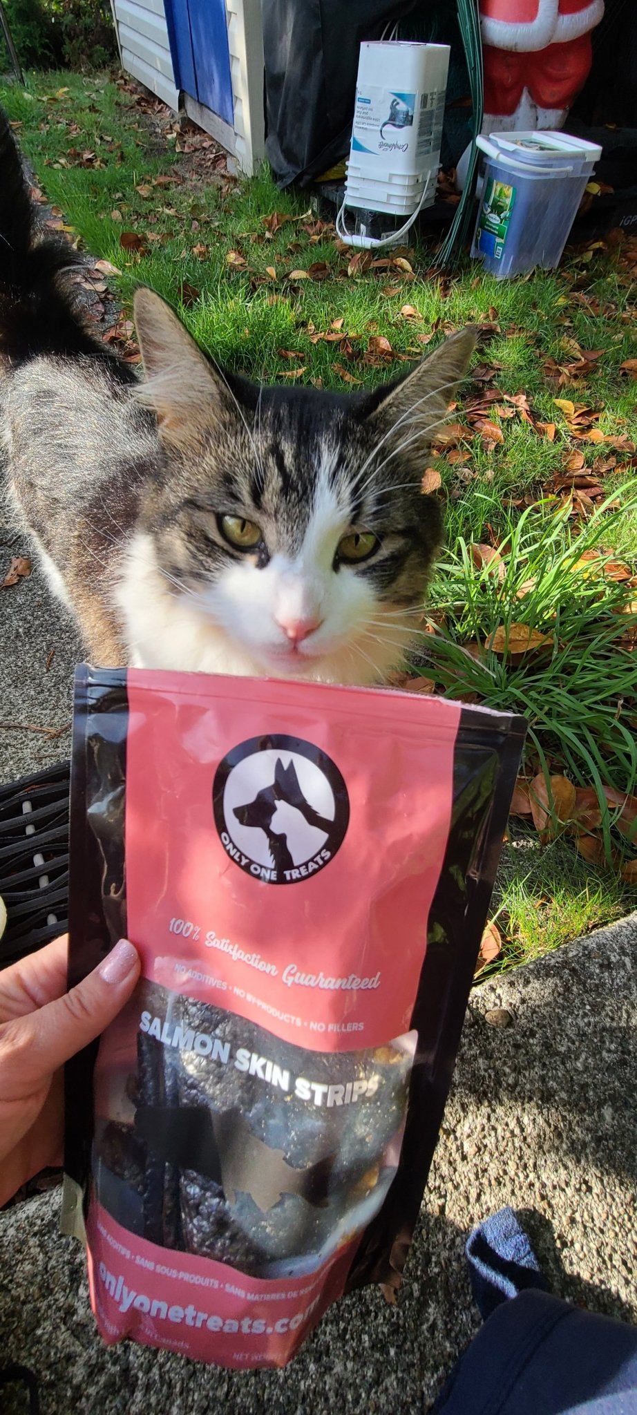 Wild Pacific Salmon Skin Strips