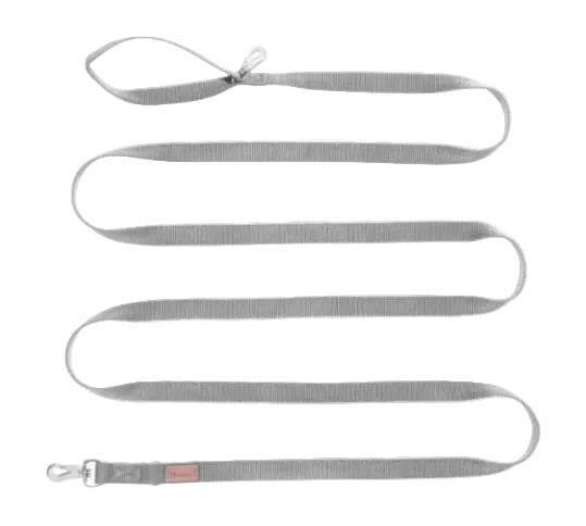 Gray dog leash with a clip on a white background