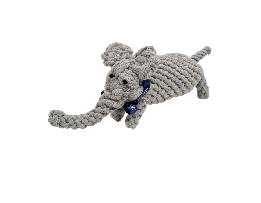 Coco the Elephant