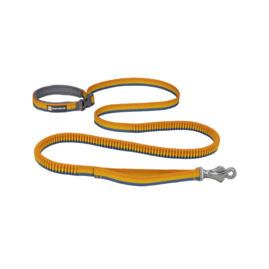 Roamer Leash - Yellow Snow