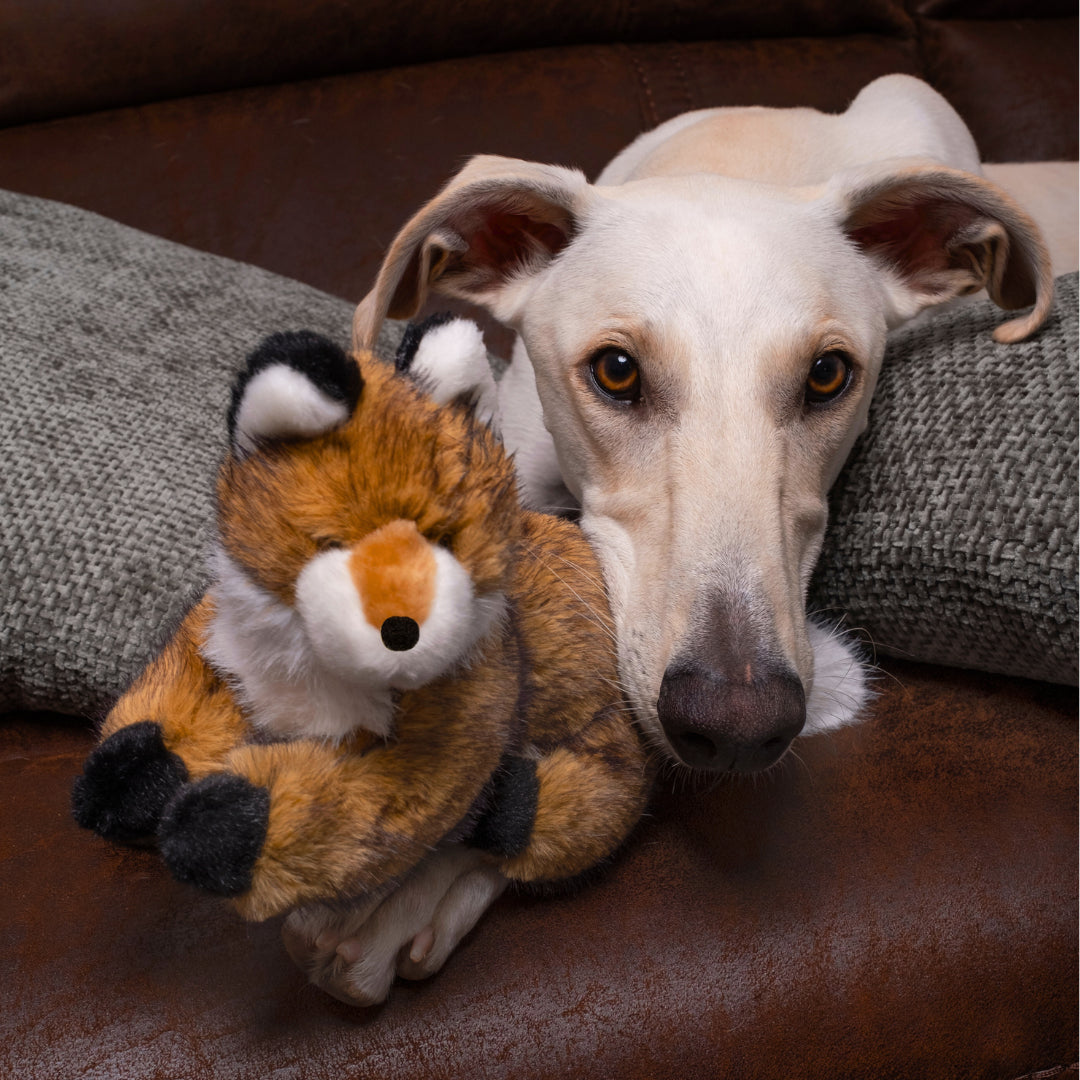 Jasper Fox - Squeakerless