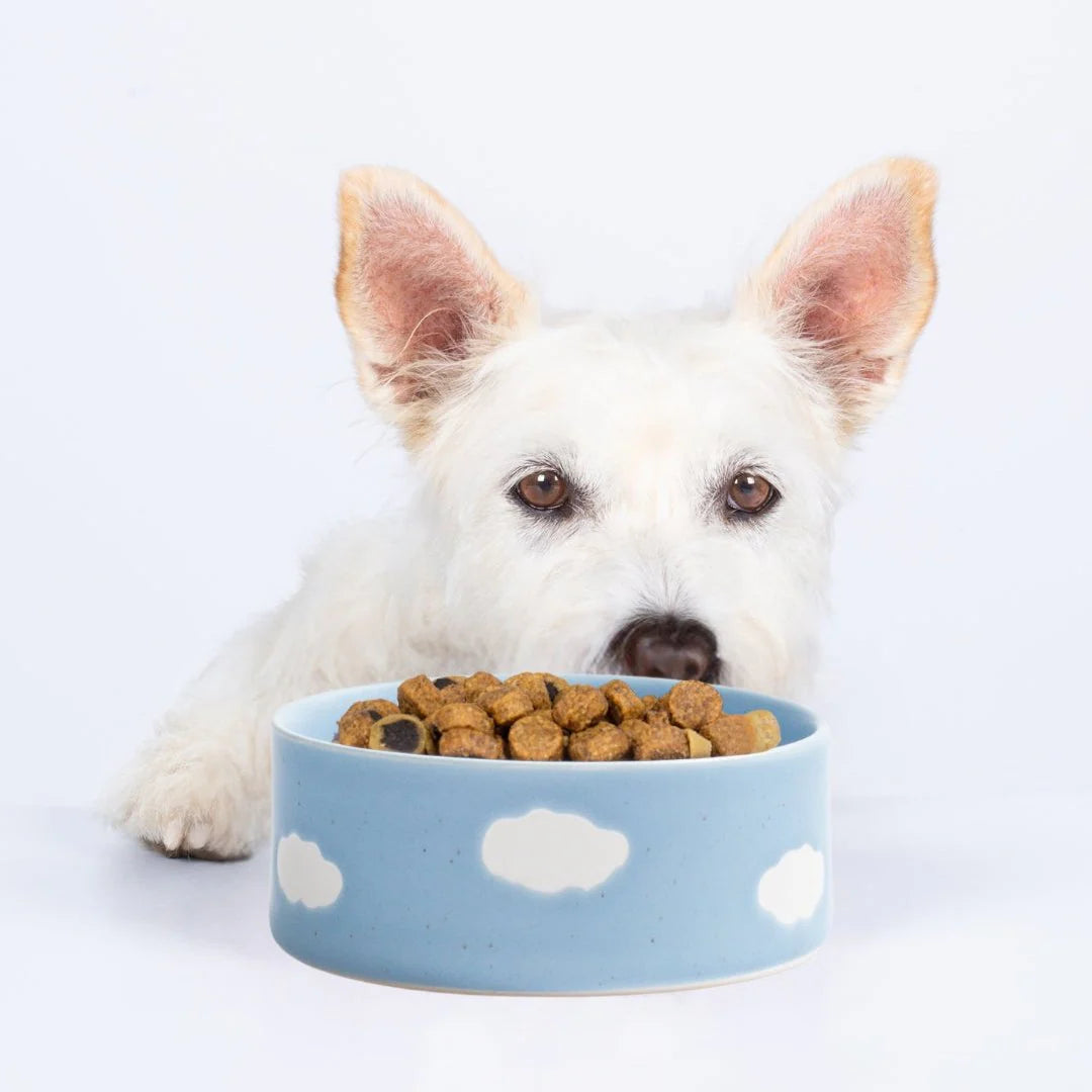 Egg Back Home - Cloud Pet Bowl