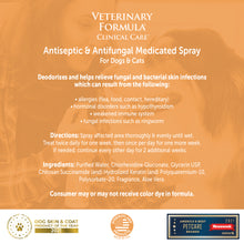 Load image into Gallery viewer, Antiseptic + Antifungal Spray
