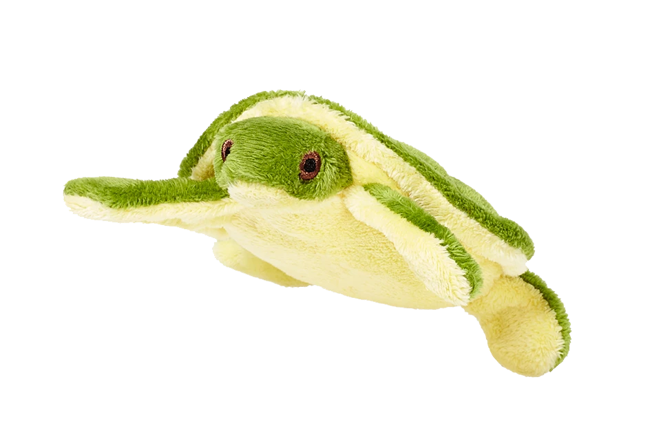 Shelly Turtle