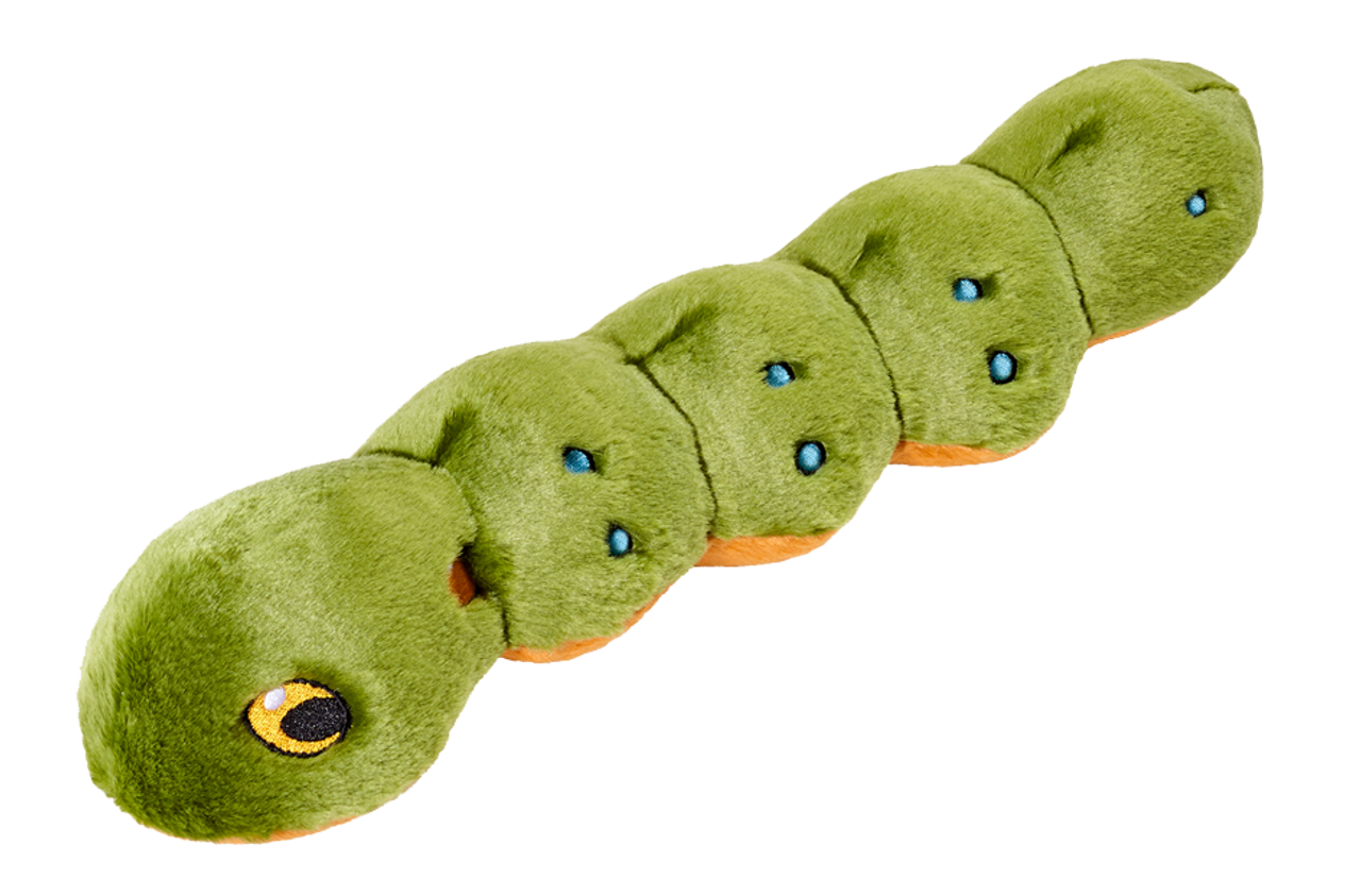 Katie Caterpillar