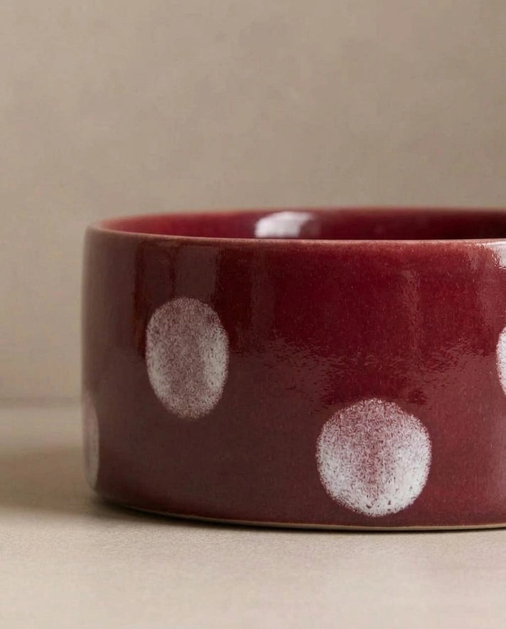 Egg Back Home - Pop Dots Burgundy Pet Bowl