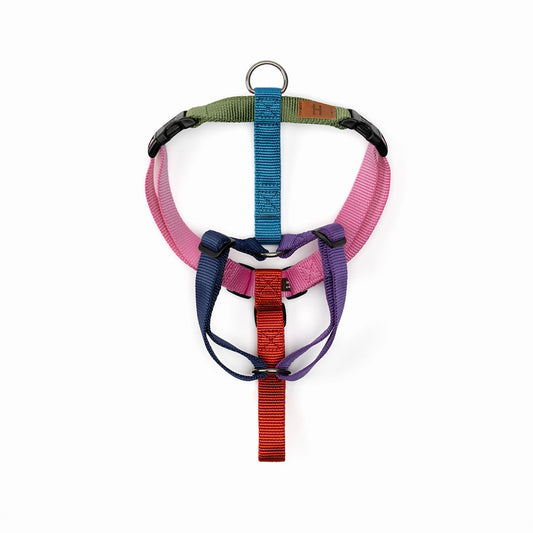 Haqihana Harness - Northern Lights (Limited Edition)