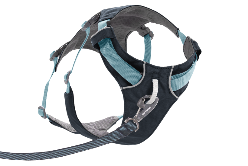 Flagline Harness - Basalt Grey