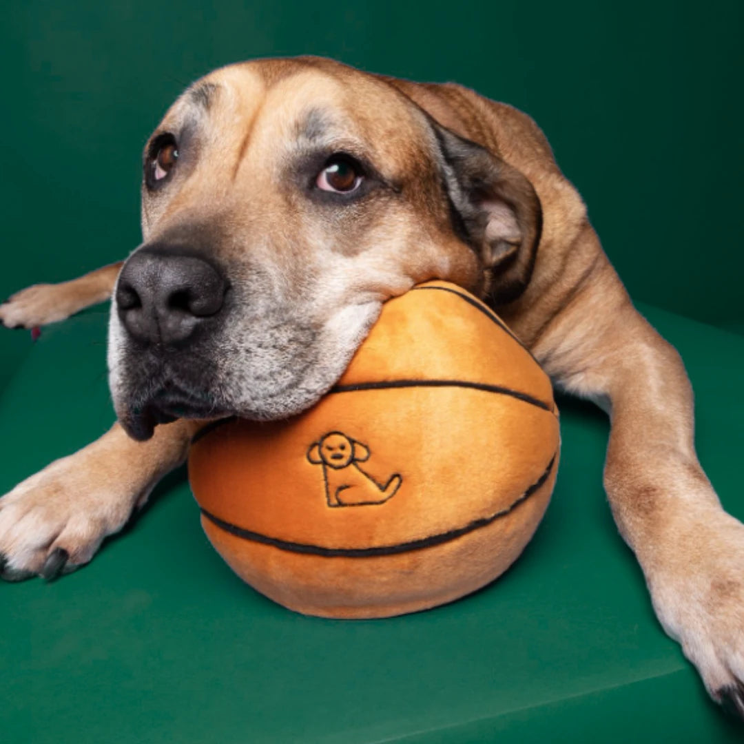 Fluff & Tuff - Basketball - Large