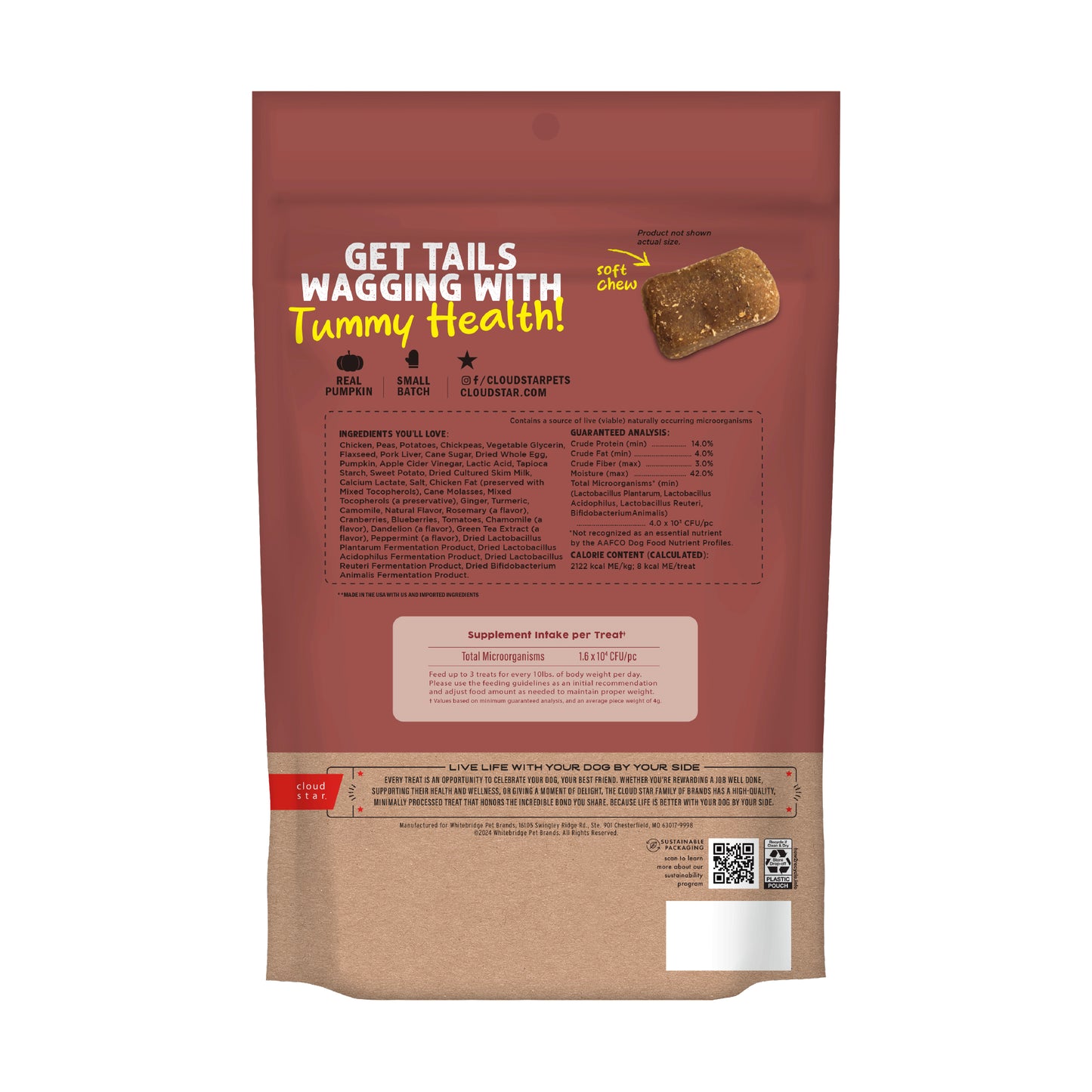 Digestive Support - Pumpkin & Ginger Soft Chews