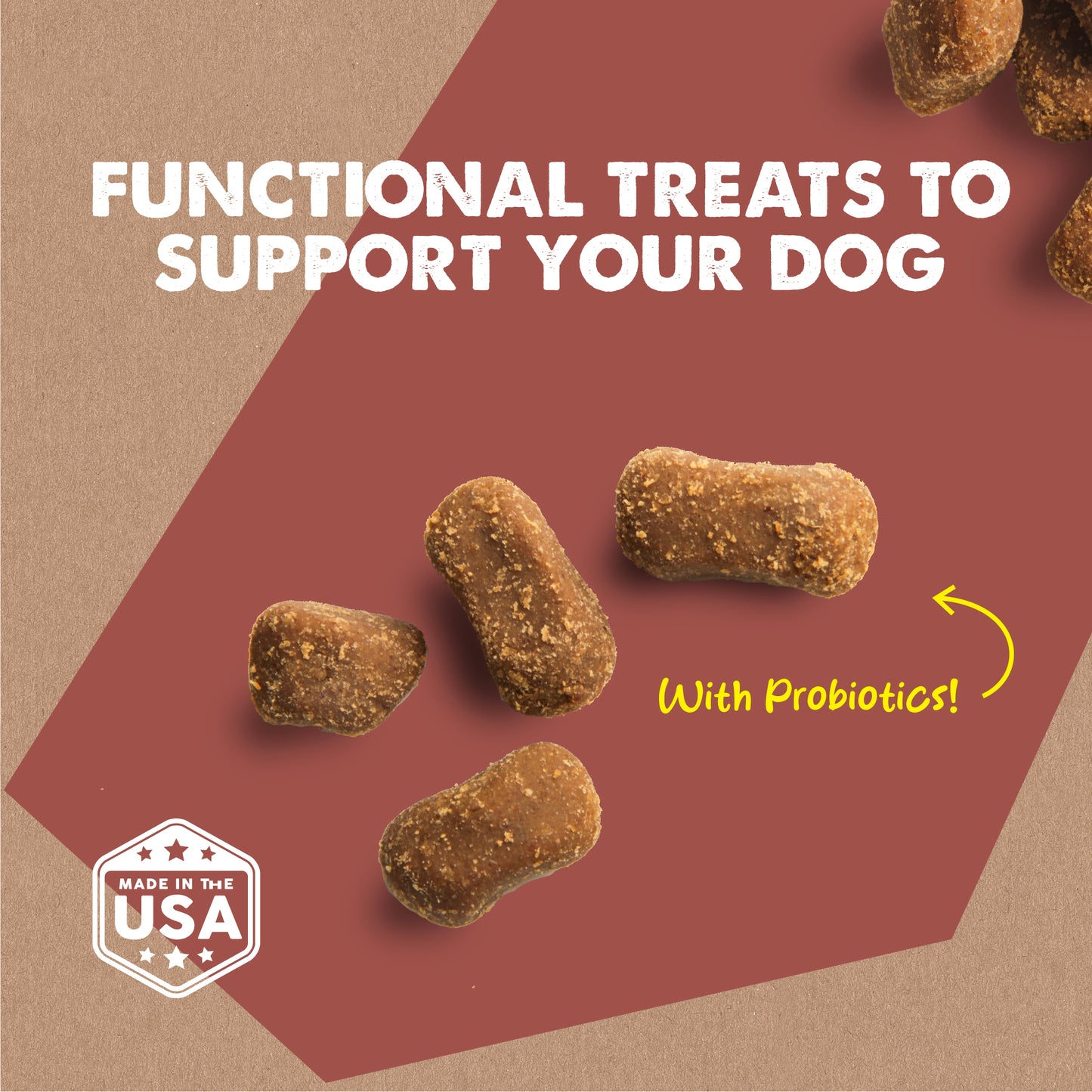 Digestive Support - Pumpkin & Ginger Soft Chews