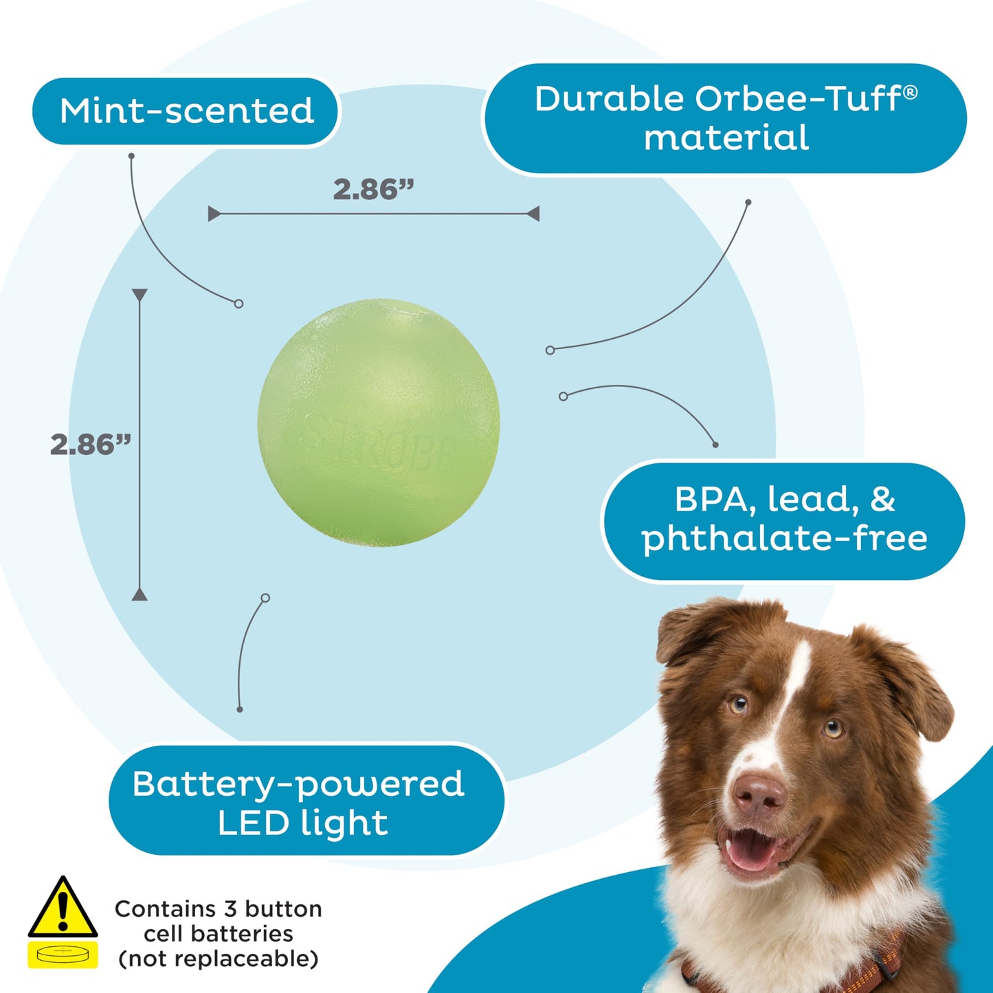 Planet Dog Strobe Ball - Glow Green
