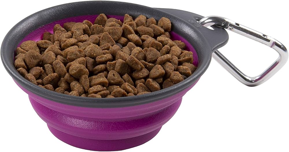 Collapsible Travel Bowl - Pink