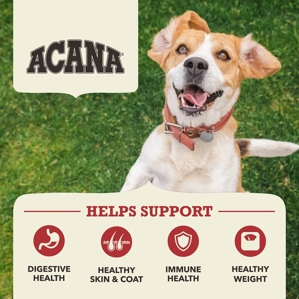 Acana - Red Meat Recipe