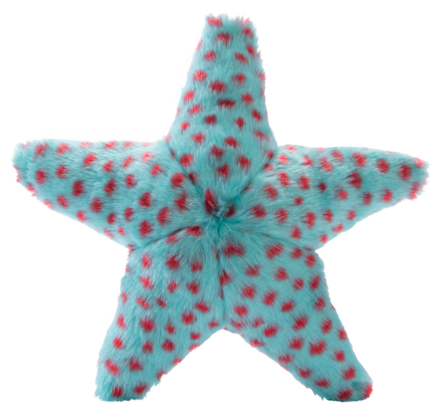 Ally Starfish - Crinkle & Squeaker